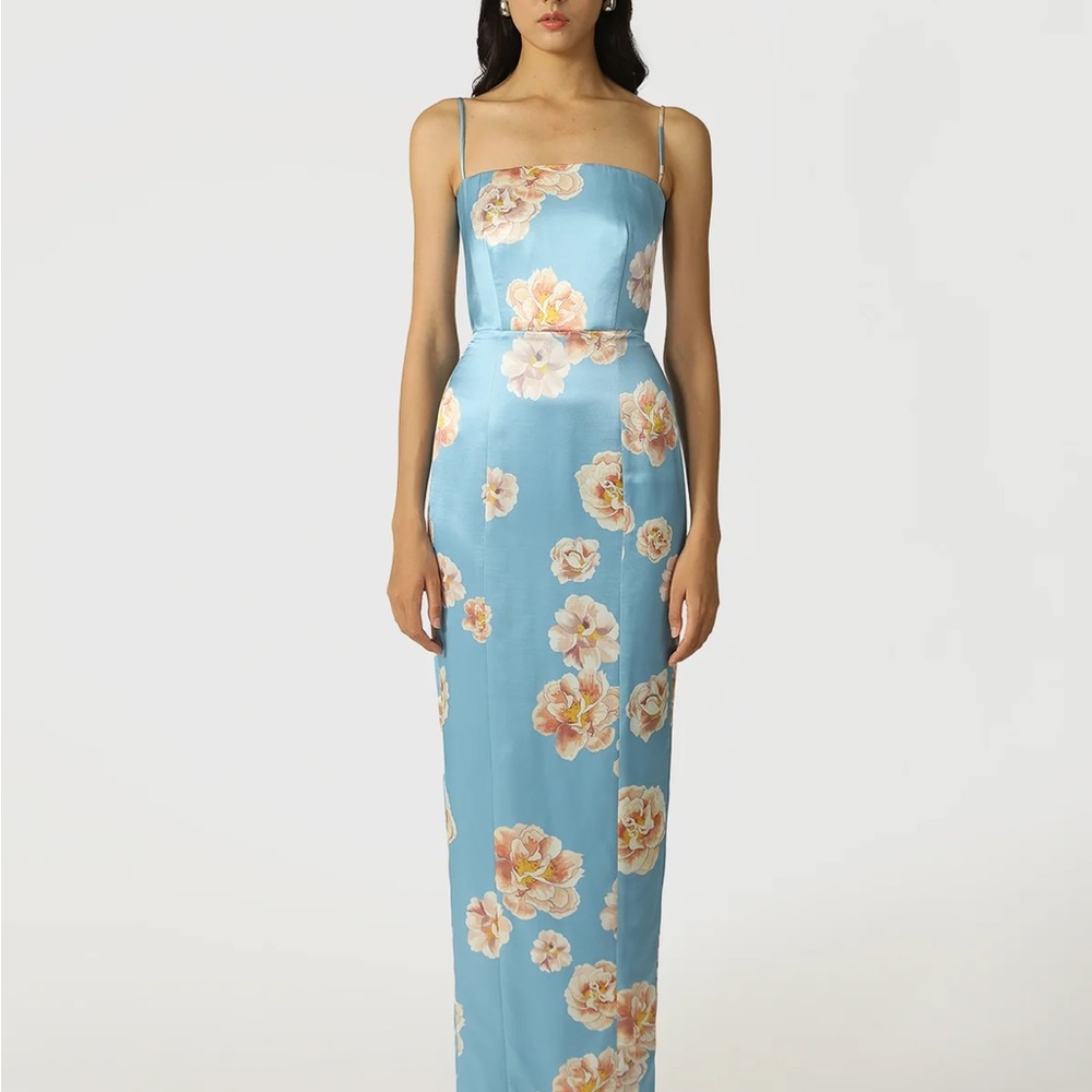 NWT Sau Lee Sofia Floral Dress (sold out online)